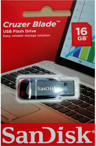 Sandisk Flash Drive